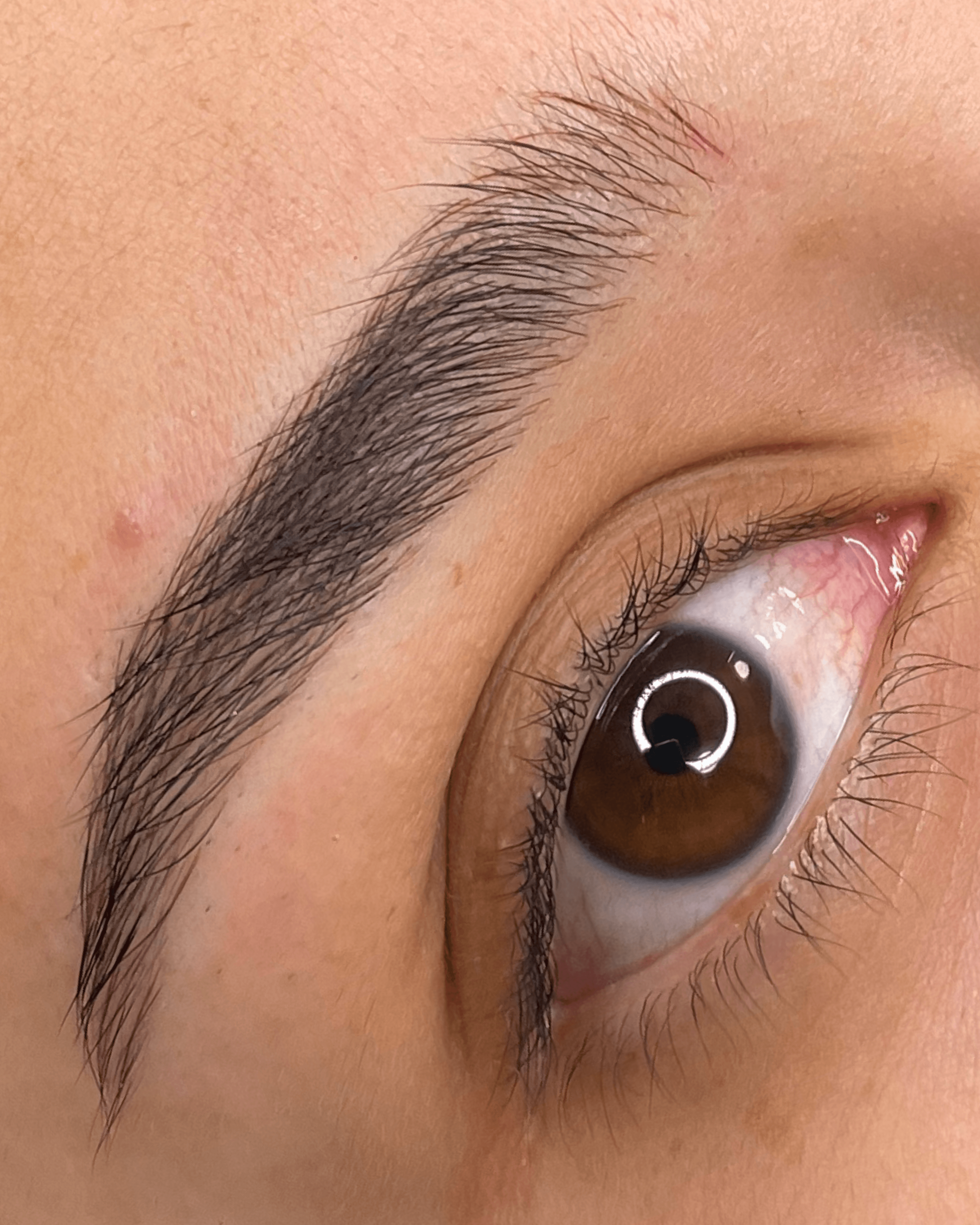 Microblading 1